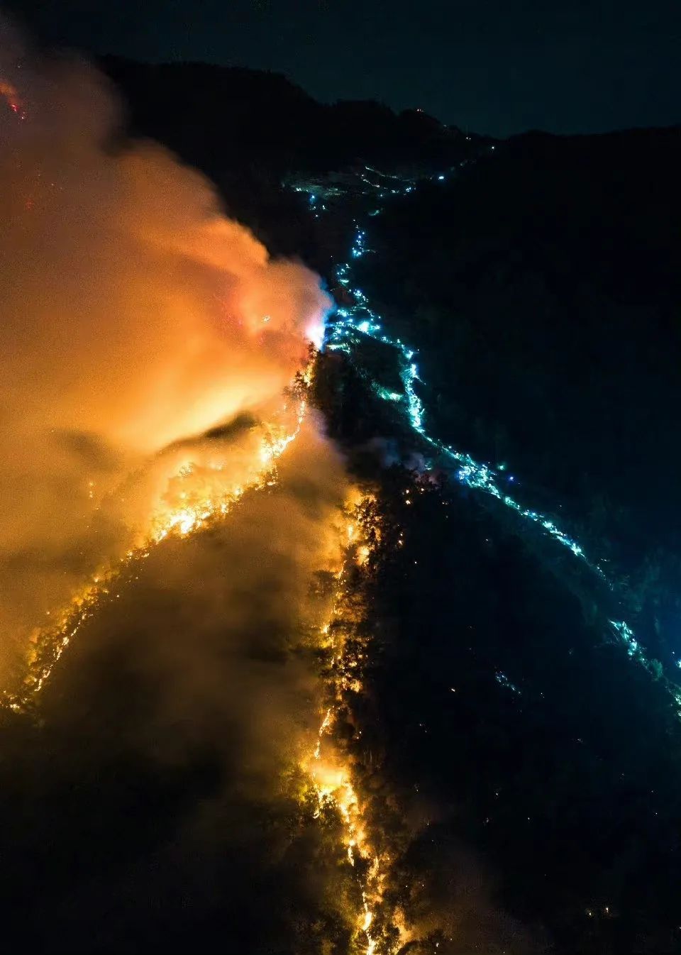 金沙9001以诚为本股份