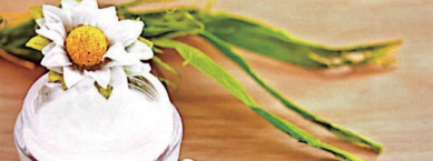 金沙9001以诚为本股份